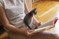 Woman reading book and holding kitten Royalty Free Stock Photo