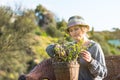 Woman sitting on nature and holding a pot with plant Royalty Free Stock Photo