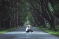 Woman sitting in the road deep forest Royalty Free Stock Photo