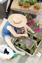 Woman sitting transplanting nursery seedlings