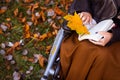 Woman sitting on a wheelchair and reading a book while relaxing at a park Royalty Free Stock Photo