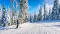 Woman skier enjoying the winter landscape on the ski slopes Royalty Free Stock Photo