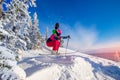 Woman skier jumping in pink skis on background of blue sky and snowy forest in mountains, dust from snow Royalty Free Stock Photo