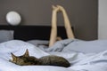 Woman sleeping in bed with her cat. Owner with her pet. Woman stretching Royalty Free Stock Photo