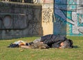 Woman is sleeping in public park, Bratislava Royalty Free Stock Photo