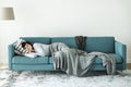 Woman sleeping on the sofa Royalty Free Stock Photo