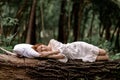 A woman sleeps in the woods on a pillow. Healthy, sound sleep concept. Rest, relaxation in nature