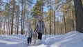 Woman and small child walking running in winter forest with of husky dog. Young mother with daughter in park with