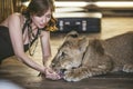 Woman with a small lion, treats, and watered it with water with