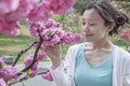 Woman smelling cherry blossoms with eyes closed. Royalty Free Stock Photo