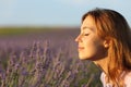 Woman smelling flowers in a lavender field at sunset Royalty Free Stock Photo