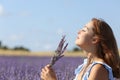 Woman smelling lavender flowers bouquet in a field Royalty Free Stock Photo