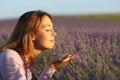 Woman smelling lavender flowers in a field at sunset Royalty Free Stock Photo