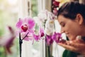 Woman smelling orchids on window sill. Girl gardener taking care of home plants and flowers Royalty Free Stock Photo