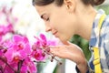 Woman smells the flowers in the garden, fragrance of orchids