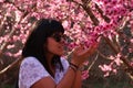 Woman smells the pretty pink peach blossoms Royalty Free Stock Photo