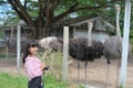 Woman smile and holding camera with ostrich animal at zoo.