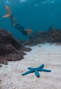 Woman freediver Royalty Free Stock Photo