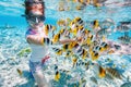 Woman snorkeling with tropical fish Royalty Free Stock Photo