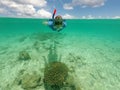 Woman snorkelling above a healthy coral with small tropical fish Royalty Free Stock Photo