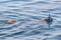 Woman Snorkelling, Galapagos, Ecuador