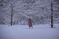 A woman in snow in a park