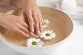 Woman soaking her hands in bowl with water and flowers on table. Spa treatment Royalty Free Stock Photo