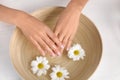 Woman soaking her hands in bowl with water and flowers on wooden table, top view. Royalty Free Stock Photo