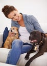 Woman, sofa and smile with pet dogs for care, love and bonding in home living room, playing and together. Girl, animal