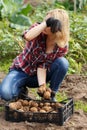 Woman sorting potato