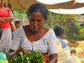 Woman sorting salad - Tangalla (Sri Lanka, Asia)