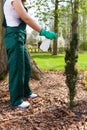 Woman spaying plants Royalty Free Stock Photo