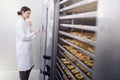 Woman Specialist in Food Quality and Health Control Checking Apples