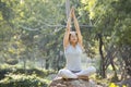 Woman in sportswear practicing yoga tree pose at park Royalty Free Stock Photo