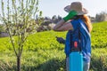 Woman spraying blooming fruit tree by pesticide Royalty Free Stock Photo