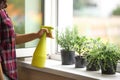 Woman spraying fresh homegrown herbs on windowsill