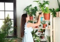 Woman spraying indoor plants near wall Royalty Free Stock Photo