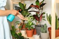 Woman spraying indoor plants near wall at home