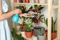 Woman spraying indoor plants near wall at home Royalty Free Stock Photo