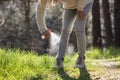 Woman spraying insect repellent against tick at her legs Royalty Free Stock Photo