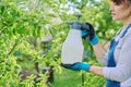 Woman spraying rose bushes in flower bed in backyard