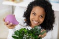 woman sprays bonsai tree Royalty Free Stock Photo