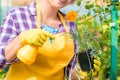 A woman sprinkles with chemicals a flower