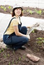 Woman with sprouts of peppers in hotbed