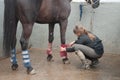 Woman in a stable bandaging the legs of her horse