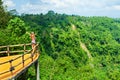 Woman stand at balcony on high cliff with jungle view