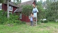 Woman stand scarecrow on cherry tree to protect berries from birds. 4K