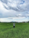 Woman standing alone from behind in the field, with raised hands surrounding by green young paddy and dramatic clouds sky. Royalty Free Stock Photo