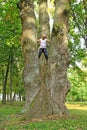 Woman standing on big tree. Gay garl standing high on trunk