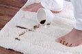 A woman is standing on a carpet with spilling coffee. Domestic failure. daily life stain concept Royalty Free Stock Photo